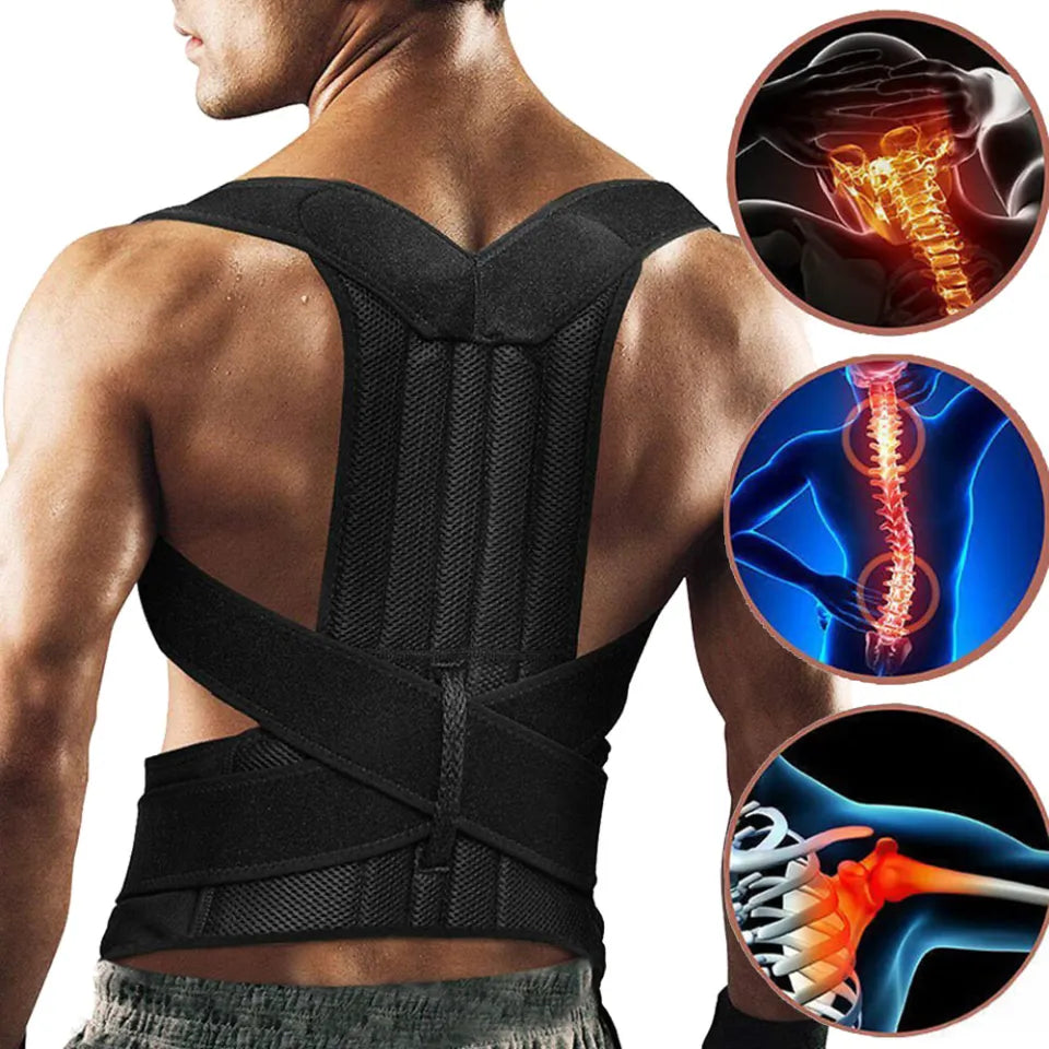 lumbar belt / posture corrector