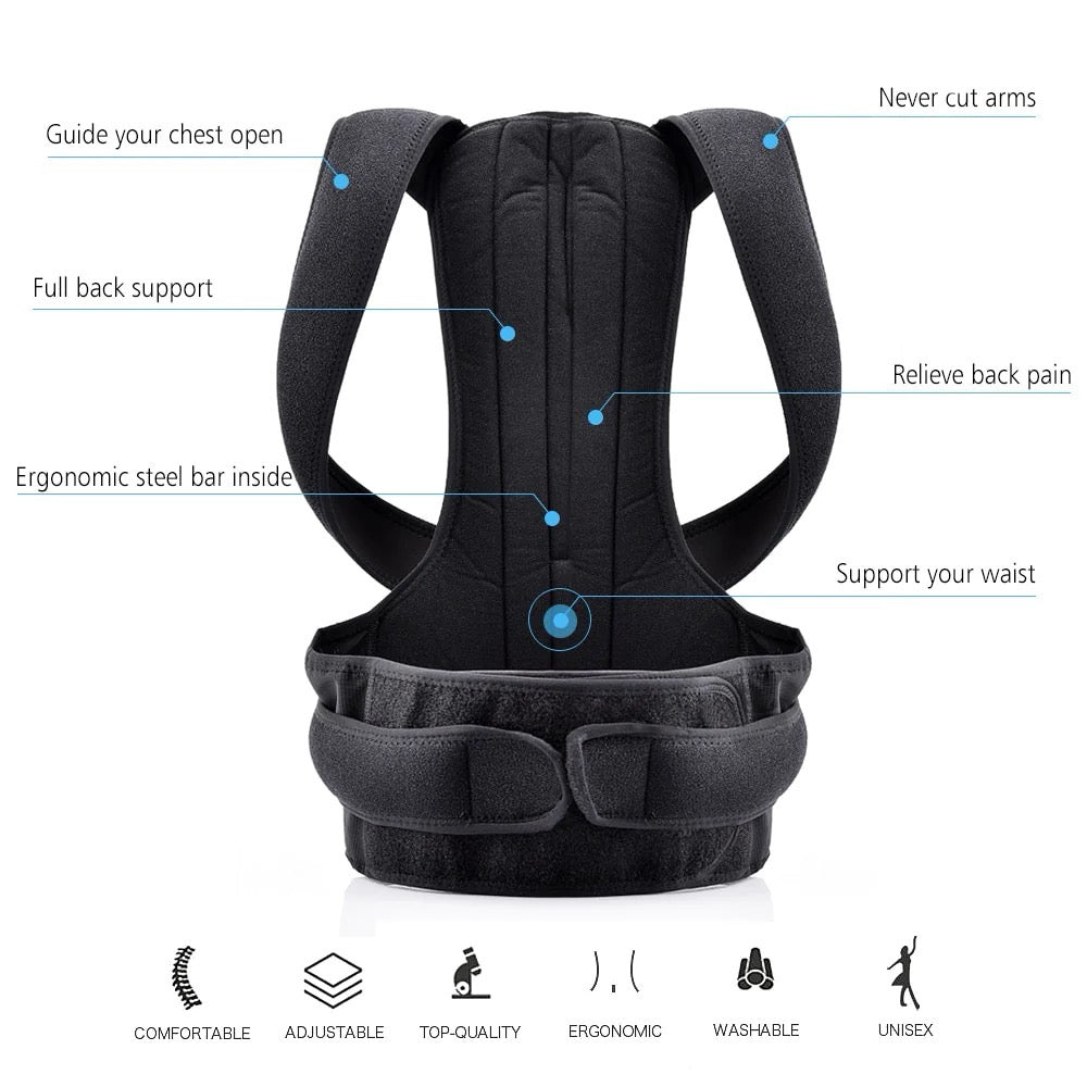 lumbar belt / posture corrector